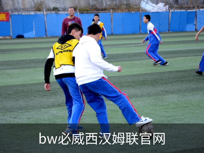 了解bw必威西汉姆联官网