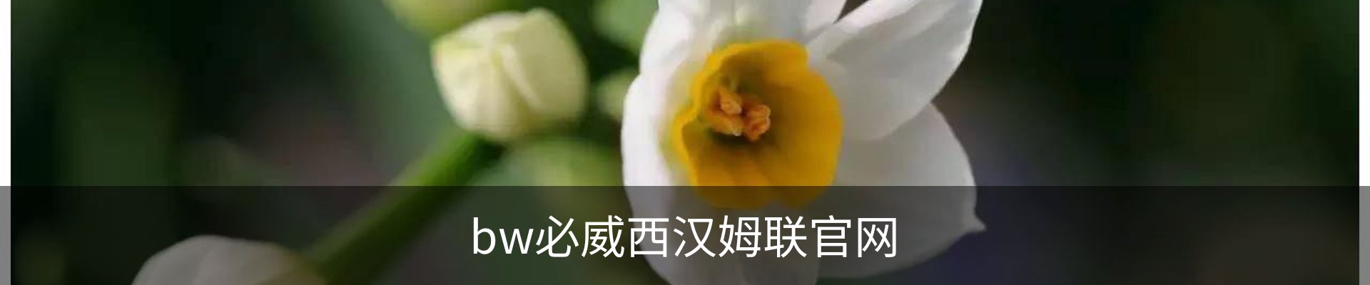 betway·必威(西汉姆联)官方网站-OfficialP